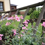 Guest house Ziva Palava Klentnice