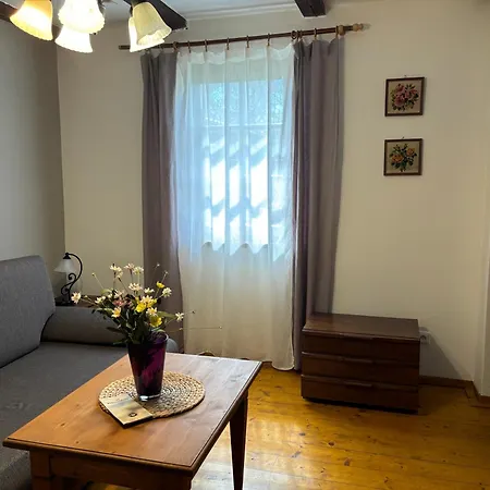 Guest house Ziva Palava 3*