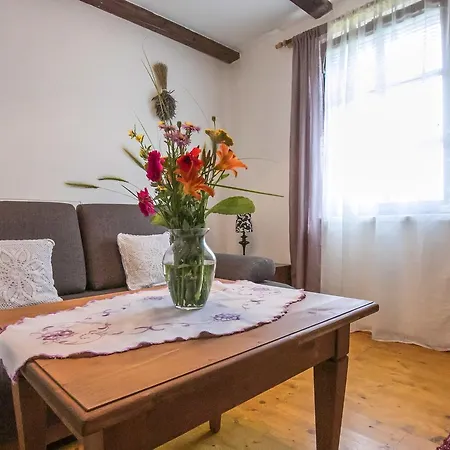 Guest house Ziva Palava 3*